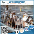 China manufacturers produce customized duck breeding equipment